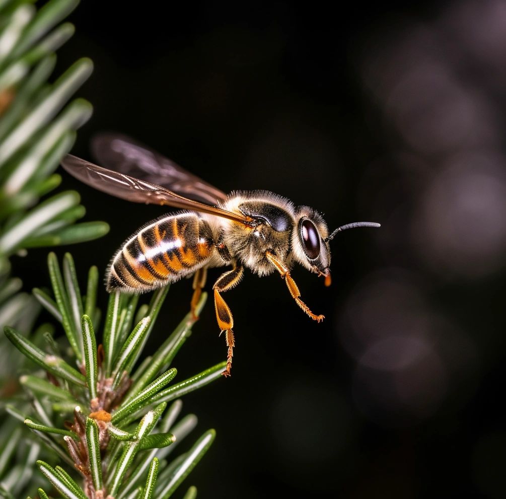 How Fast Do Bees Fly and the Mystery of Their Flight Speed